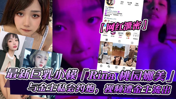 Rina桃园娜美 巨乳小模与金主酒店私会，狂干内射遭偷拍流出